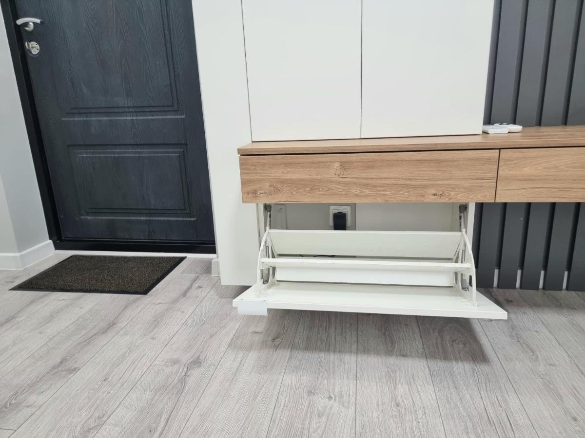 Center, Albisoara Str., 1Bedroom And Living With Balcony キシナウ エクステリア 写真
